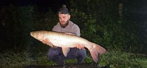 Grass Carp
