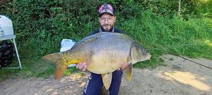 Mirror Carp