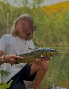Brown Trout