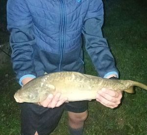 Leather Carp