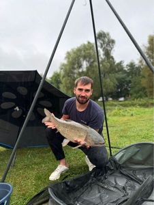 Grass Carp