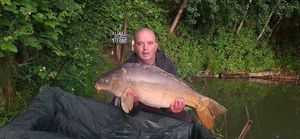 Mirror Carp