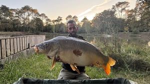 Mirror Carp