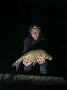 Common Bream