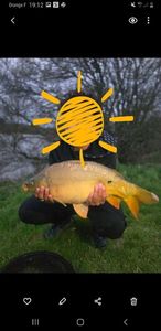 Mirror Carp