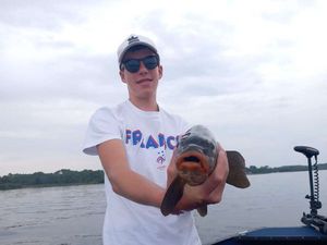 Tench