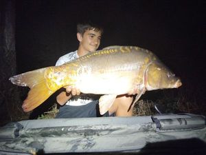Mirror Carp