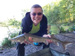 Sturgeon