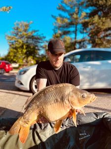 Leather Carp