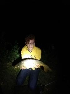 Mirror Carp