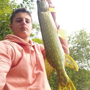 Northern Pike