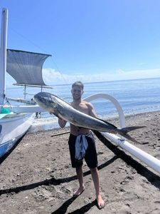 Dolphinfish
