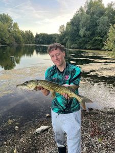 Northern Pike