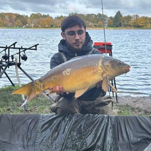 Mirror Carp