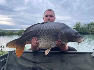 Common Carp