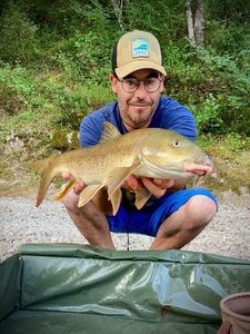 Barbel