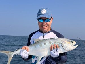 Bluefish
