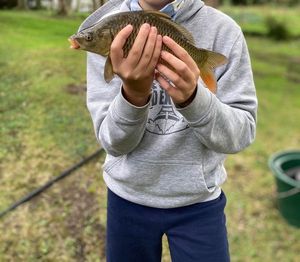 Common Carp