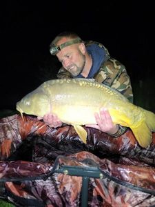 Mirror Carp