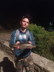 Cunene Horse Mackerel