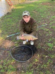Tench