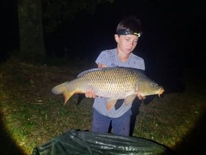 Common Carp