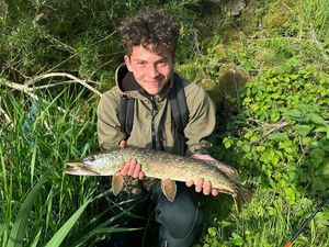 Northern Pike