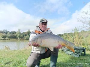 Mirror Carp