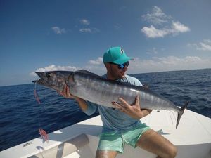 Wahoo