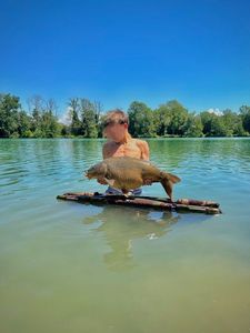 Mirror Carp