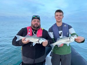 European Bass (Seabass)