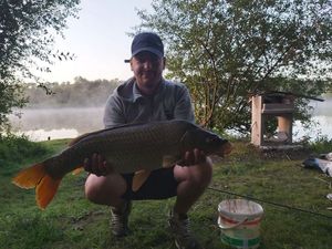 Common Carp