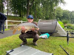 Mirror Carp