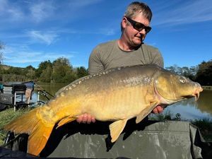 Mirror Carp