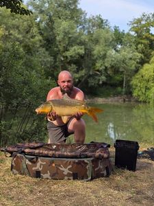 Mirror Carp