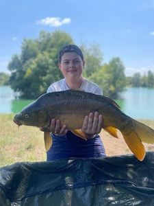 Mirror Carp