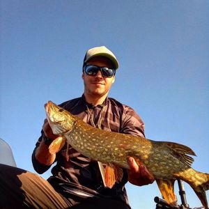 Northern Pike