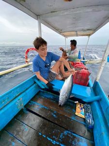 Atlantic Bonito