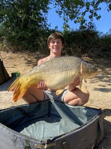 Mirror Carp