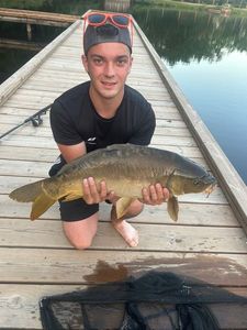 Mirror Carp