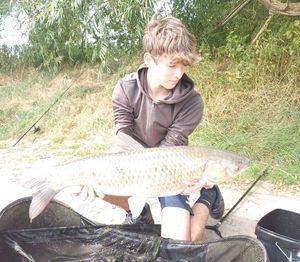 Grass Carp