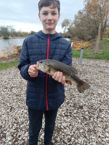 Smallmouth Bass