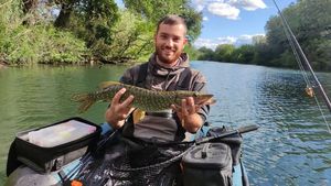 Northern Pike