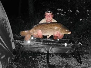 Common Carp