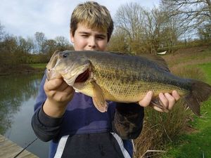 Largemouth Bass