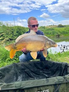 Mirror Carp