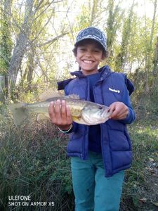 Largemouth Bass