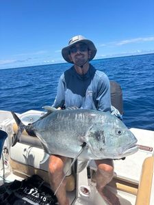 Giant Trevally (GT)