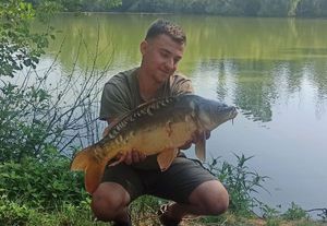 Mirror Carp