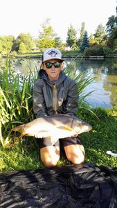 Mirror Carp